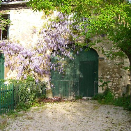 Maison Charmante Avec Terrasse Et Jardin A Noves מראה חיצוני תמונה